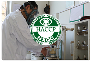 危害分析控制HACCP